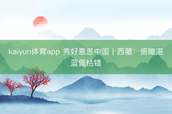 kaiyun体育app 秀好意思中国丨西藏：俯瞰湛蓝佩枯错