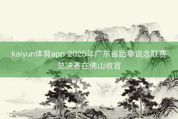 kaiyun体育app 2025年广东省跆拳说念联赛总决赛在佛山收官