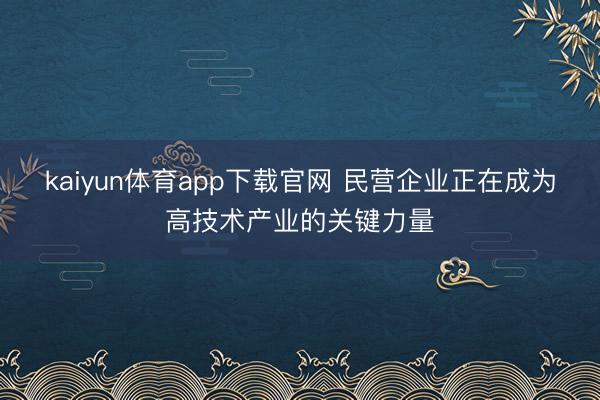 kaiyun体育app下载官网 民营企业正在成为高技术产业的关键力量