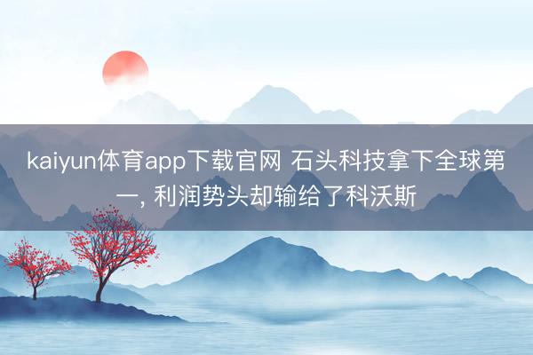 kaiyun体育app下载官网 石头科技拿下全球第一, 利润势头却输给了科沃斯