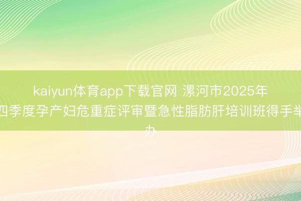 kaiyun体育app下载官网 漯河市2025年第四季度孕产妇危重症评审暨急性脂肪肝培训班得手举办