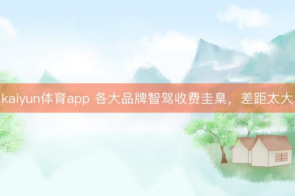 kaiyun体育app 各大品牌智驾收费圭臬，差距太大