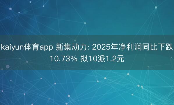 kaiyun体育app 新集动力: 2025年净利润同比下跌10.73% 拟10派1.2元
