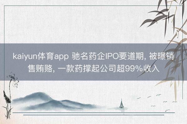 kaiyun体育app 驰名药企IPO要道期, 被曝销售贿赂, 一款药撑起公司超99%收入