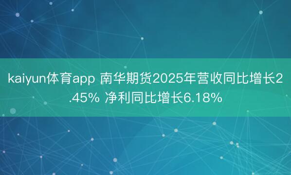 kaiyun体育app 南华期货2025年营收同比增长2.45% 净利同比增长6.18%