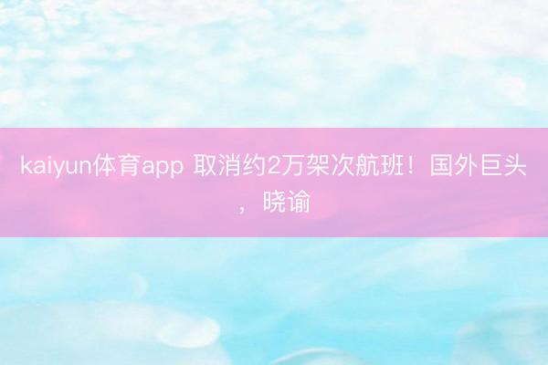 kaiyun体育app 取消约2万架次航班！国外巨头，晓谕