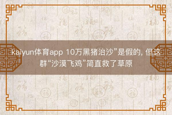 kaiyun体育app 10万黑猪治沙”是假的， 但这群“沙漠飞鸡”简直救了草原