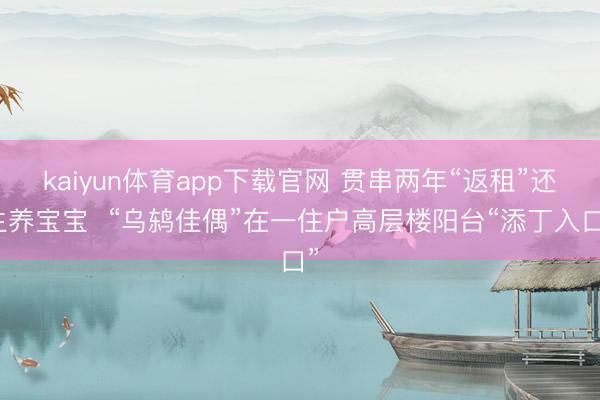 kaiyun体育app下载官网 贯串两年“返租”还生养宝宝  “乌鸫佳偶”在一住户高层楼阳台“添丁入口”