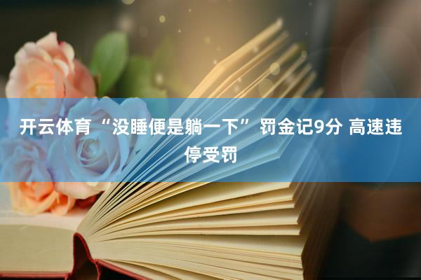 开云体育 “没睡便是躺一下” 罚金记9分 高速违停受罚