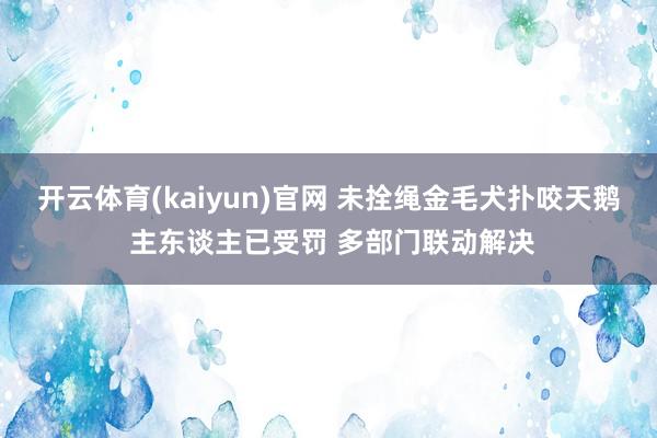 开云体育(kaiyun)官网 未拴绳金毛犬扑咬天鹅 主东谈主已受罚 多部门联动解决
