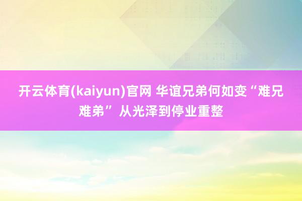 开云体育(kaiyun)官网 华谊兄弟何如变“难兄难弟” 从光泽到停业重整