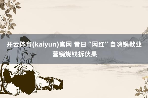 开云体育(kaiyun)官网 昔日“网红”自嗨锅歇业 营销烧钱拆伙果