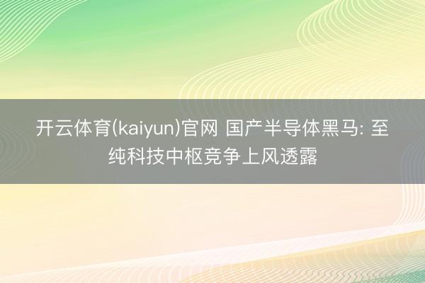 开云体育(kaiyun)官网 国产半导体黑马: 至纯科技中枢竞争上风透露