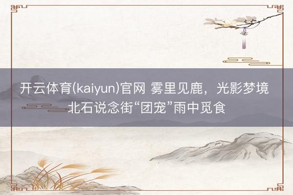 开云体育(kaiyun)官网 雾里见鹿，光影梦境 北石说念街“团宠”雨中觅食