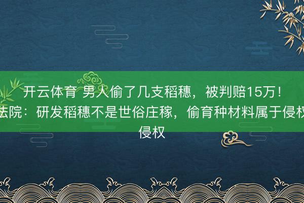 开云体育 男人偷了几支稻穗，被判赔15万！法院：研发稻穗不是世俗庄稼，偷育种材料属于侵权