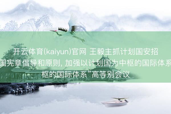 开云体育(kaiyun)官网 王毅主抓计划国安招待“感触计划国宪章倡导和原则， 加强以计划国为中枢的国际体系”高等别会议