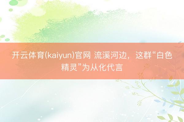 开云体育(kaiyun)官网 流溪河边,这群“白色精灵”为从化代言